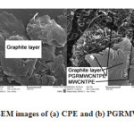 Figure 1: SEM images of (a) CPE and (b) PGRMWCNTPE.