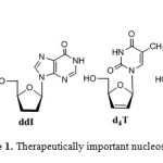 Figure 1: Therapeutically important nucleoside analogues
