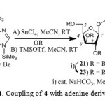 Scheme 4. Coupling of 4 with adenine derivative 20
