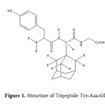 Figure 1. Structure of Tripeptide Tyr-Aaa-Gly
