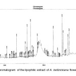 Fig. 2: Gas chromatogram of the lipophilic extract of A. bettzickiana flowers 