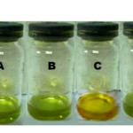 Fig. 1 Visual detection of gas samples in solution. A) chlorophyll solution in CH2Cl2, B) chlorophyll solution after exposure to CO2, C) chlorophyll solution after exposure to NO2, D) chlorophyll solution after exposure to SO2.