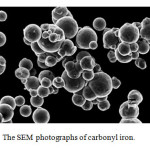 Fig. 4: The SEM photographs of carbonyl iron.