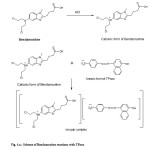 Fig. 4.a.: Scheme of Bendamustine reactions with TPooo 
