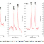 Figure 2. Raman spectra of MWNT–COOH (A) and functionalized MWNTs (B-D) .