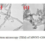 Figure 3.  . Transmission electron microscopy (TEM) of MWNT–COOH (A) and functionalized MWNTs (B-D) 
