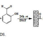 Figure 7. Preparation of MWNT-DS.