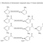 Scheme 1: Bioreduction of nitroaromatic compounds using 1-4 Linum usitatissimum L. seeds.