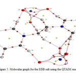 Figure 5. Molecular graph for the EDB salt using the QTAIM method.