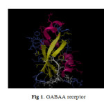 Fig 1. GABAA receptor