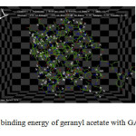 Fig. 2: Interaction and binding energy of geranyl acetate with GABAA nerve receptor