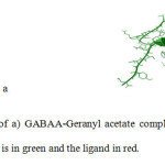 Fig 4. The best docked result of a) GABAA-Geranyl acetate complex and b) GABAA- diazepam complex. The GABAA receptor is in green and the ligand in red.