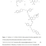 Figure 2. Synthesis of 2,4-Bis-(2-[4-[4-(4-chloro-phenyl)-4-hydroxy-piperridin-1-yl]-1-(4-fluoro-phenyl)-butylideneamino]-ethylimino-methyl)-13-methyl-7,8,9,11,12,13,14,15,16,17-decahydro-6H-cyclopenta[a]phenanthrene-3,17-diol (5). Reactionof1with3,17-Dihydroxy-13-methyl-7,8,9,11,12,13,14,15,16,17-decahydro-6H-cyclopenta[a]phenanthrene-2,4-dicarbaldehyde (4)tosynthesisof5 usingboricacid as catalyst (ii).