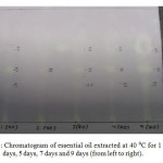 Figure 2: Chromatogram of essential oil extracted at 40 ⁰C for 1 day, 3 days, 5 days, 7 days and 9 days (from left to right). 