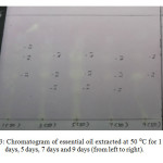 Figure 3: Chromatogram of essential oil extracted at 50 ⁰C for 1 day, 3 days, 5 days, 7 days and 9 days (from left to right). 