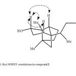 Fig. 1: Key NOESY correlations in compound 2.