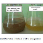 Fig 1: Visual Observation of Synthesis of Silver   Nanoparticles