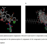 Fig. 3: Common pharmacophore alignments with active and inactive compounds a) alignment of all active compounds to the pharmacophore b) alignment of all compounds (active/inactive) to the pharmacophore