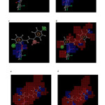 Fig. 5: Atom based 3D QSAR visualization of various substituent effects: (a) H-donors (b) positive ionic (c) negative ionic (d) electron withdrawing (e) hydrophobic (f) combined effect (blue color tube indicates favorable region while red color cube indicates unfavorable region