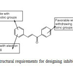 Fig. 6: Structural requirements for designing inhibitors