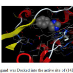 Fig.1. The reference ligand was Docked into the active site of (14DM) using MOE tool. 