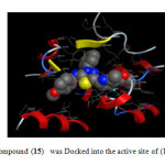 Fig. 2. The most active  compound (15)   was Docked into the active site of (14DM) using MOE tool.