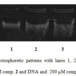 Figure 1. Agarose gel electrophoretic patterns with lanes 1, 2 and 3 depict DNA only (control), DNA and 100 μM comp. 2 and DNA and  200 μM comp. 2, respectively.    
