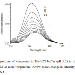 Fig. 5. Emission spectrum of compound in Tris-HCl buffer (pH 7.2) in the presence and absence of CT DNA at room temperature. Arrow shows change in intensity with increasing concentration of DNA.