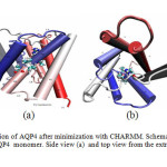 Fig 1: Normal configuration of AQP4 after minimization with CHARMM. Schematic representation of the structure of an AQP4  monomer. Side view (a)  and top view from the extracellular side (b).