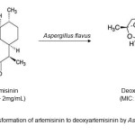 Figure 1.  Biotransformation of artemisinin to deoxyartemisinin by Aspergillus flavus