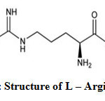 Fig 1: Structure of L – Arginine