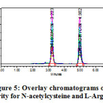 Figure 5: Overlay chromatograms of Linearity for N-acetylcysteine and L-Arginine