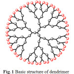 Fig1: Basic structure of dendrimer
