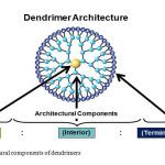 Fig. 6: Architectural components of dendrimers