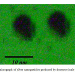 Fig.3. TEM micrograph of silver nanoparticles produced by dextrose (scale bar=10 nm)
