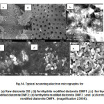 Fig.14. Typical scanning electron micrographs for