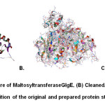 Fig. 1: (A) Original structure of MaltosyltransferaseGlgE, (B) Cleaned, prepared and minimized structure, (C) Superimposition of the original and prepared protein structures (RMSD = 0.721 Å)