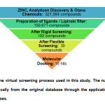 Fig. 4: Summary of the virtual screening process used in this study. The number of compounds was trimmed dramatically from the original database through the application of different filters and screening processes.
