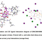 Fig. 5: 3D representation and 2D ligand interaction diagram of ZINC39010596; polar (magenta circles), van der Waals (green circles), H-bond with a. acid side chain (blue arrow), H-bond with a. acid main chain (green arrow), pi-pi interactions (orange lines)