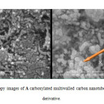 Fig 5. Scanning electron microscopy images of A carboxylated multiwalled carbon nanotubes and B MWCNT- Amino uracil derivative.