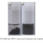 Figure 6. The images of MWNT-COOH and  MWNT- Amino uracil in deionized water (1mg/6ml) after standing for 1 month.