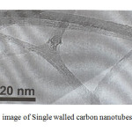 Fig. 1. SEM  image of Single walled carbon nanotubes (SWCNTs)