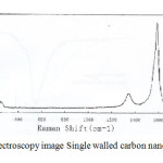 Fig. 2. Raman Spectroscopy image Single walled carbon nanotubes (SWCNTs)