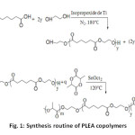 Fig. 1: Synthesis routine of PLEA copolymers