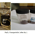 Photo.2 : Equipment                Fe3O4 Nanoparticle ( after dry )