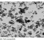 Plate2 . Fe3O4 nanoparticle  