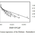 Figure 7: Linear regression of the Dubinin – Radushkevich model.