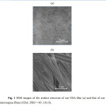 Fig. 1 SEM images of the surface structure of our CDA film (a) and that of our electrospun fibers (CDA : PEO = 90 : 10) (b).