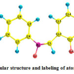 Figure 1. Molecular structure and labeling of atoms in 2HPNPN