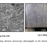 Fig 7 & 8: Scanning electron microscopy photographs in the absence and presence of inhibitors 